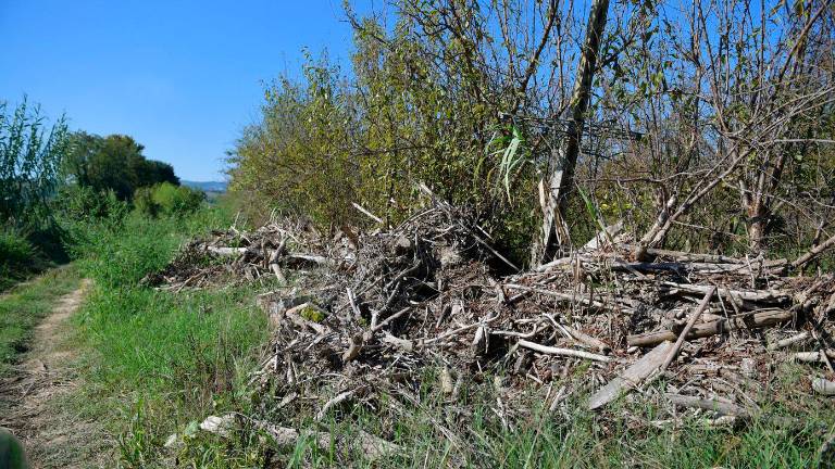 Faenza, “Il mio terreno devastato dall’alluvione, ma in due anni non ho visto un euro” Faenza, “Il mio terreno devastato dall’alluvione, ma in due anni non ho visto un euro”