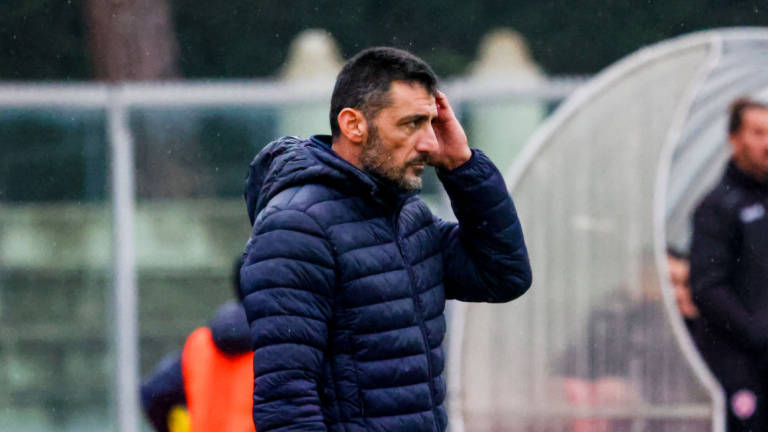 Calcio C, Imolese: dalla Carrarese ecco D'Auria Calcio C, Imolese: dalla Carrarese ecco D'Auria