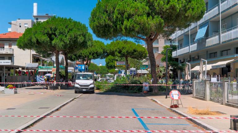 Lido di Savio, per i 39 pini rimasti il futuro è appeso alle prove di trazione Lido di Savio, per i 39 pini rimasti il futuro è appeso alle prove di trazione