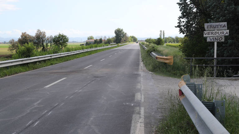 Nuovi limiti di velocità sulla San Vitale tra Ravenna e Sant'Agata Nuovi limiti di velocità sulla San Vitale tra Ravenna e Sant'Agata