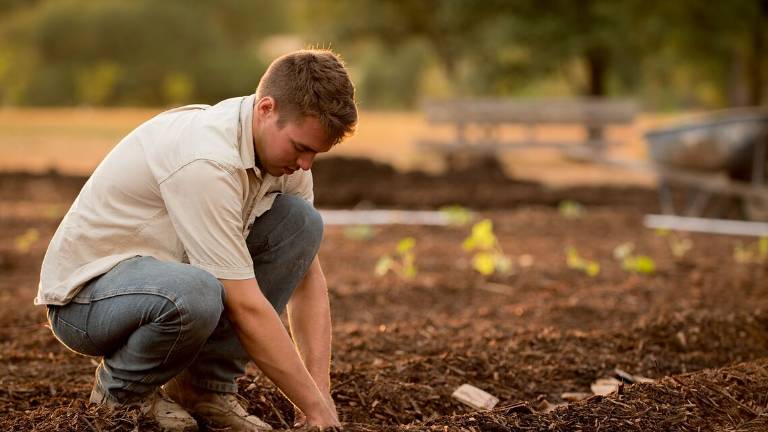 Sorpresa: negli ultimi 5 anni i giovani agricoltori sono aumentati dell'8% Sorpresa: negli ultimi 5 anni i giovani agricoltori sono aumentati dell'8%