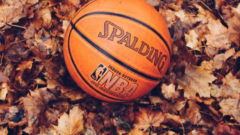 Basket, la Fip: Al lavoro per tornare presto in palestra Basket, la Fip: Al lavoro per tornare presto in palestra