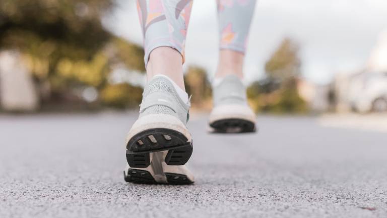 Cesena, sabato la Christmas Walk & Run: di corsa e in cammino lungo i Gessi Cesena, sabato la Christmas Walk & Run: di corsa e in cammino lungo i Gessi