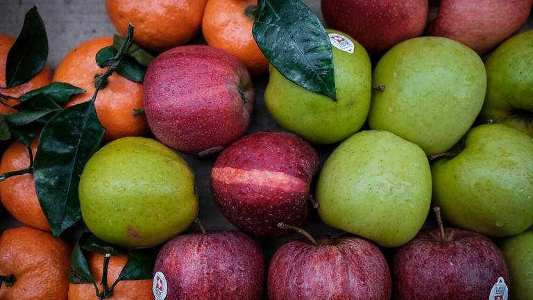Agricoltura: «Potenziare l'impegno della Regione contro le gelate» Agricoltura: «Potenziare l'impegno della Regione contro le gelate»