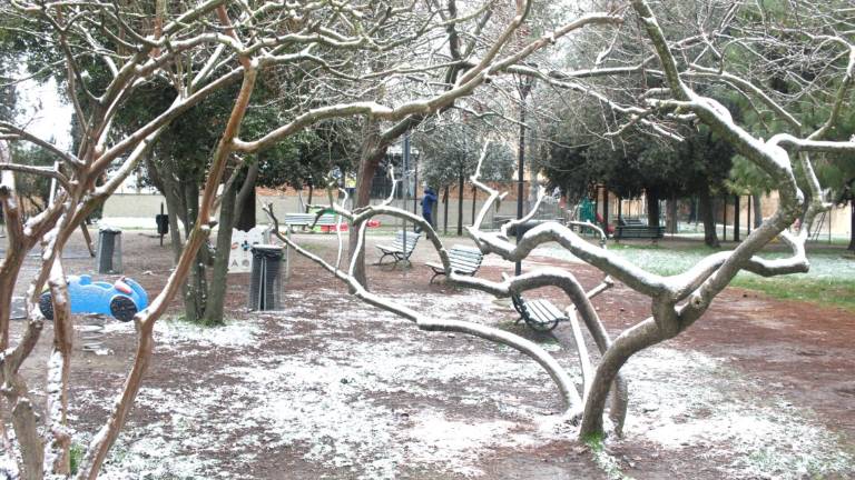 Ravenna si sveglia imbiancata: le foto del centro sotto la neve Ravenna si sveglia imbiancata: le foto del centro sotto la neve