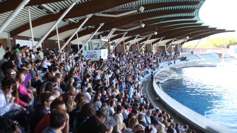 Ior: la lotta ai tumori nei parchi di Rimini, Riccione e Cattolica Ior: la lotta ai tumori nei parchi di Rimini, Riccione e Cattolica