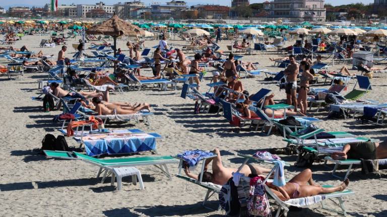 Cervia, scatta l'allarme: Ombrellone e lettino? Costeranno dai 40 ai 50 euro al giorno Cervia, scatta l'allarme: Ombrellone e lettino? Costeranno dai 40 ai 50 euro al giorno