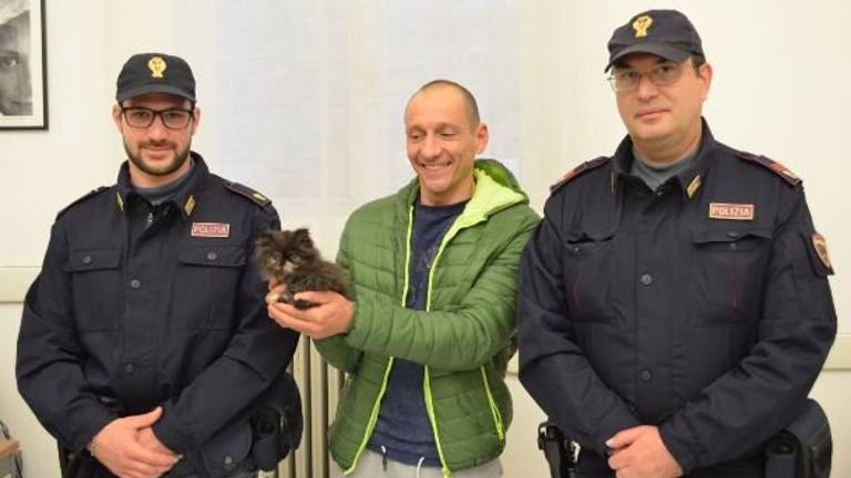 Forlì, rubano gattina: incastrate su Facebook Forlì, rubano gattina: incastrate su Facebook