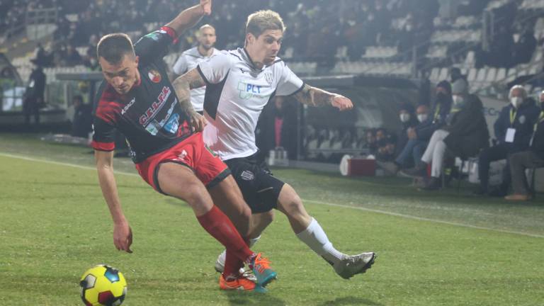 Frieser, Pittarello e il cavallo giusto per il mercato invernale Frieser, Pittarello e il cavallo giusto per il mercato invernale
