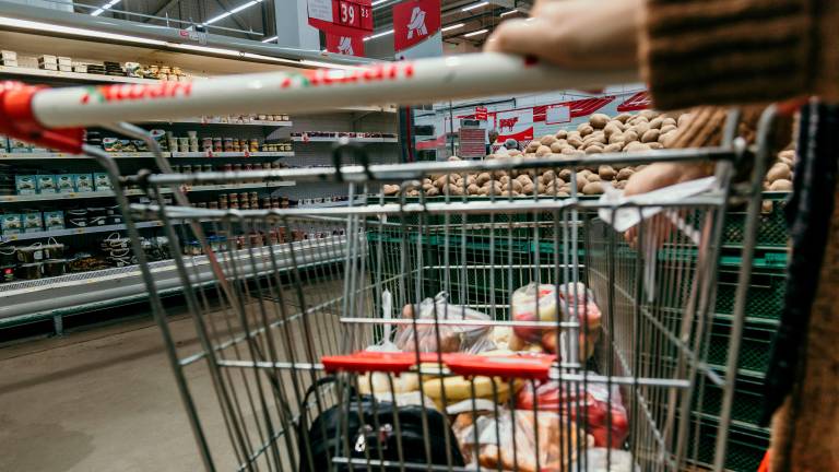 Faenza, rubano i portafogli dalle borse posate sui carrelli della spesa: scoperte 4 ladre al supermercato Faenza, rubano i portafogli dalle borse posate sui carrelli della spesa: scoperte 4 ladre al supermercato