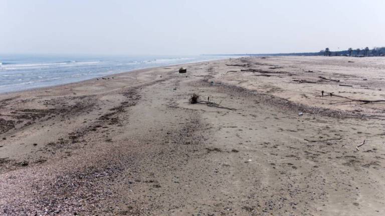 La Regione tiene chiusa la spiaggia. Tosi: Follia, da noi aperta La Regione tiene chiusa la spiaggia. Tosi: Follia, da noi aperta
