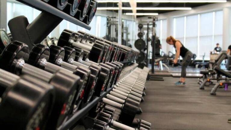 Forlì, ambulatorio medico abusivo in palestra: due denunce VIDEO Forlì, ambulatorio medico abusivo in palestra: due denunce VIDEO