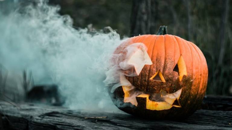 Cervia, niente petardi ad Halloween. Previste multe da 25 a 500 euro Cervia, niente petardi ad Halloween. Previste multe da 25 a 500 euro