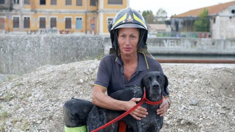 Cane finisce nel Candiano, drammatico salvataggio a Ravenna Cane finisce nel Candiano, drammatico salvataggio a Ravenna