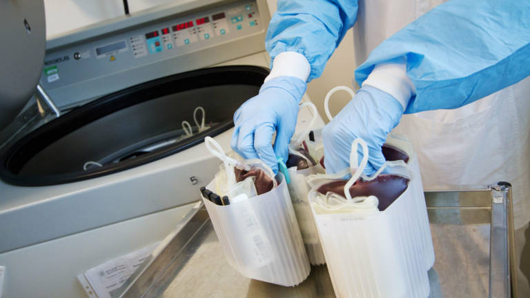Raccolta sangue in Romagna: un 2022 positivo per le donazioni Raccolta sangue in Romagna: un 2022 positivo per le donazioni