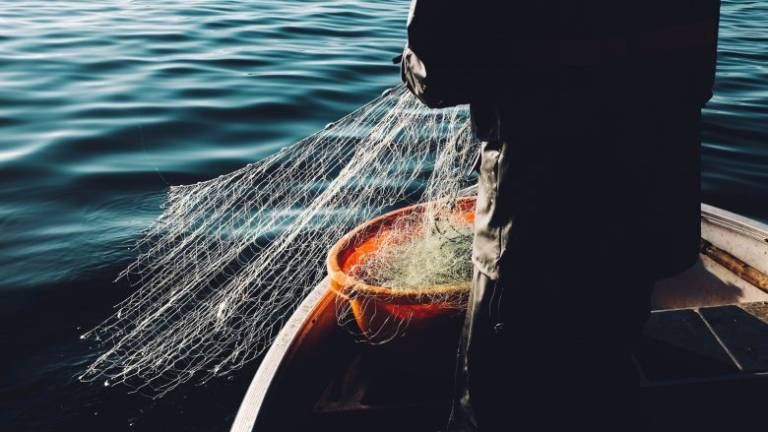 L'analisi di Affronte: allarme rosso per la pesca in Mediterraneo L'analisi di Affronte: allarme rosso per la pesca in Mediterraneo