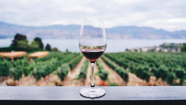 La tecnologia dietro le cantinette vino La tecnologia dietro le cantinette vino