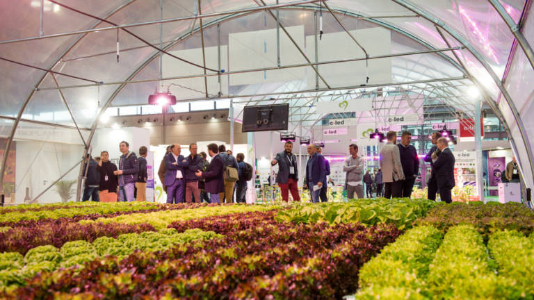 Debutta a Macfrut 2023 il salone del vivaismo Debutta a Macfrut 2023 il salone del vivaismo