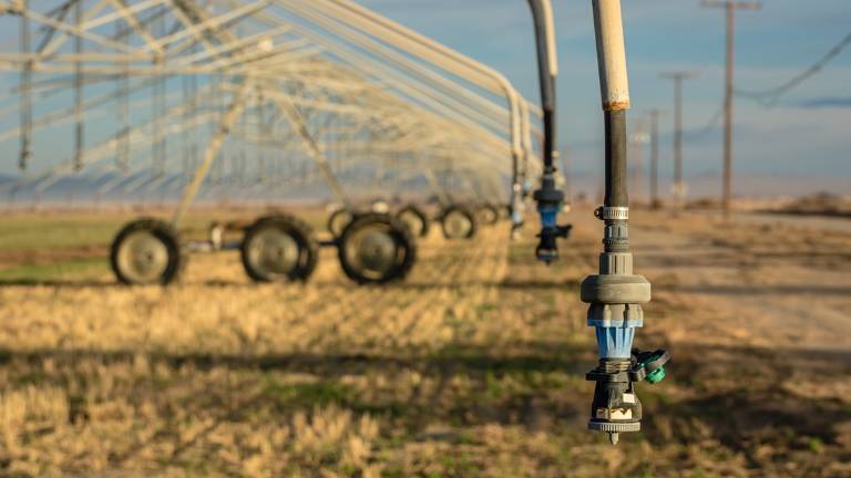 Siccità, Gambettola: un progetto da 12 milioni di euro per il Cer Siccità, Gambettola: un progetto da 12 milioni di euro per il Cer