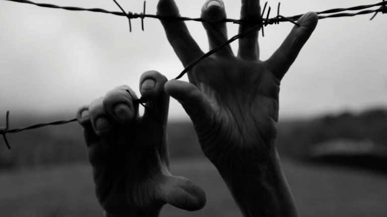 Shoah, Rimini città nazionale della memoria 2021 Shoah, Rimini città nazionale della memoria 2021