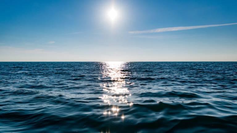 Spiagge libere di Rimini «Sono poche e il Comune non le tutela» Spiagge libere di Rimini «Sono poche e il Comune non le tutela»