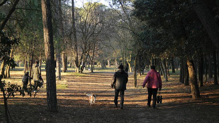 Cervia, passeggiate naturalistiche accompagnate dalla Divina Commedia Cervia, passeggiate naturalistiche accompagnate dalla Divina Commedia