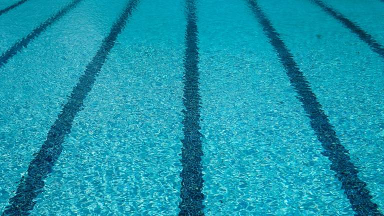 Rimini, nuova piscina in zona ex Fiera: il Comune vince in tribunale contro Acquarena Rimini, nuova piscina in zona ex Fiera: il Comune vince in tribunale contro Acquarena