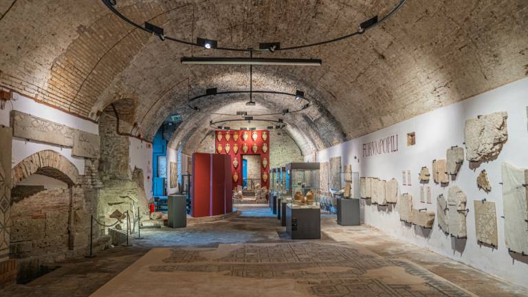 Forlimpoli, museo archeologico: pubblicato il bando per la gestione Forlimpoli, museo archeologico: pubblicato il bando per la gestione