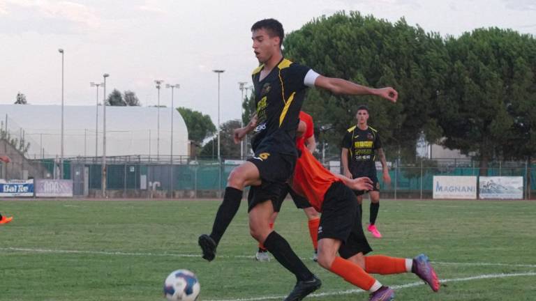 Calcio D, Il campionato partirà domenica 10 settembre Calcio D, Il campionato partirà domenica 10 settembre