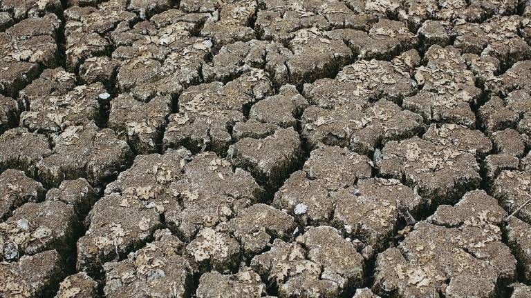Emergenza climatica. La Coldiretti: In Italia addio a un frutto su quattro Emergenza climatica. La Coldiretti: In Italia addio a un frutto su quattro