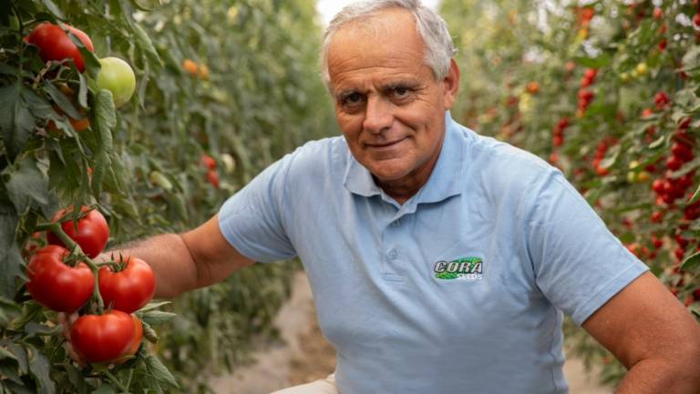 Cesena: acquisiti da Cora Seeds programmi varietali di ricerca per cipolla e zucchino Cesena: acquisiti da Cora Seeds programmi varietali di ricerca per cipolla e zucchino