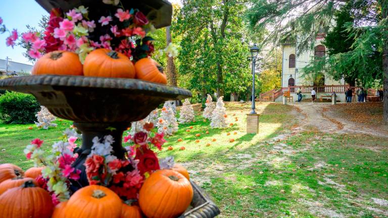 Halloween a Riccione: ha aperto il parco delle zucche - Gallery Halloween a Riccione: ha aperto il parco delle zucche - Gallery