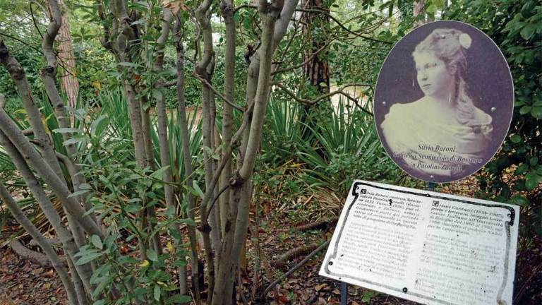 Cesena, piantumati 28 nuovi alberi a Villa Silvia Carducci Cesena, piantumati 28 nuovi alberi a Villa Silvia Carducci