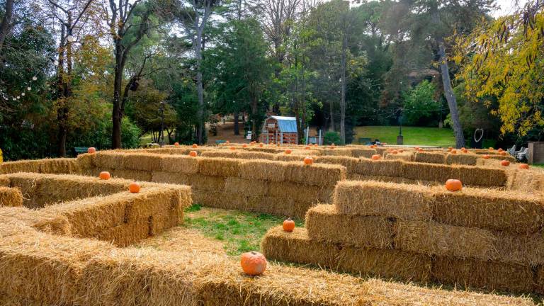Halloween a Riccione: ha aperto il parco delle zucche - Gallery Halloween a Riccione: ha aperto il parco delle zucche - Gallery