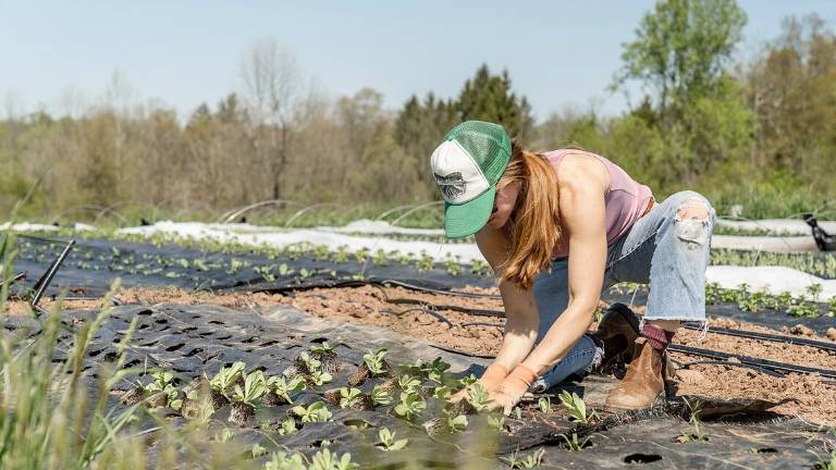 Sviluppo rurale 2021-2022: ecco 408 milioni per l'agricoltura in Emilia-Romagna Sviluppo rurale 2021-2022: ecco 408 milioni per l'agricoltura in Emilia-Romagna