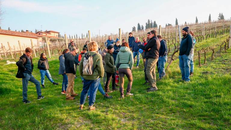Vignaioli “sui banchi” per imparare a gestire il cambiamento climatico e prevenire il dissesto, dopo l’alluvione un corso nazionale della Fivi in Romagna Vignaioli “sui banchi” per imparare a gestire il cambiamento climatico e prevenire il dissesto, dopo l’alluvione un corso nazionale della Fivi in Romagna