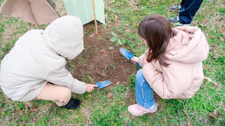 Ci sono 150 nuovi alberelli al parco Cesuola di Cesena piantati dagli alunni Ci sono 150 nuovi alberelli al parco Cesuola di Cesena piantati dagli alunni