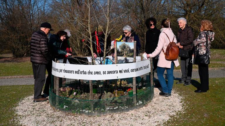 Forlì, il ricordo di Sara Pedri a 4 anni dalla scomparsa VIDEO E FOTOGALLERY Forlì, il ricordo di Sara Pedri a 4 anni dalla scomparsa VIDEO E FOTOGALLERY