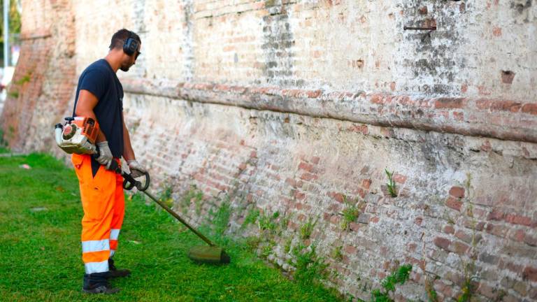 Rimini. Manutenzione e cura delle aree verdi: entra nella fase conclusiva il quarto e ultimo intervento di sfalcio erboso Rimini. Manutenzione e cura delle aree verdi: entra nella fase conclusiva il quarto e ultimo intervento di sfalcio erboso