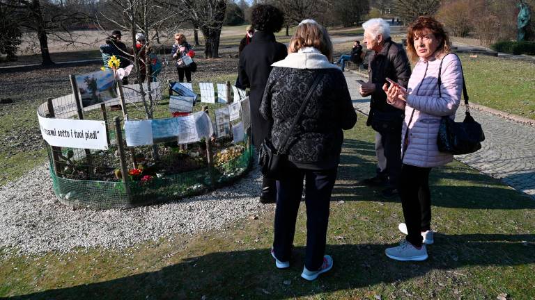 Forlì, il ricordo di Sara Pedri a 4 anni dalla scomparsa VIDEO E FOTOGALLERY Forlì, il ricordo di Sara Pedri a 4 anni dalla scomparsa VIDEO E FOTOGALLERY