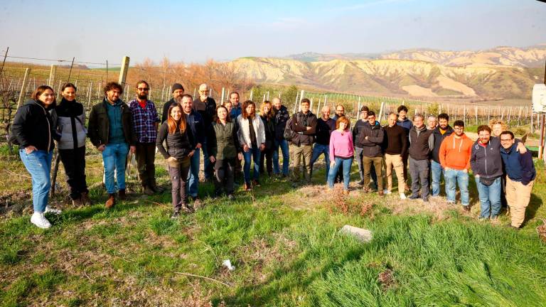 Vignaioli “sui banchi” per imparare a gestire il cambiamento climatico e prevenire il dissesto, dopo l’alluvione un corso nazionale della Fivi in Romagna Vignaioli “sui banchi” per imparare a gestire il cambiamento climatico e prevenire il dissesto, dopo l’alluvione un corso nazionale della Fivi in Romagna