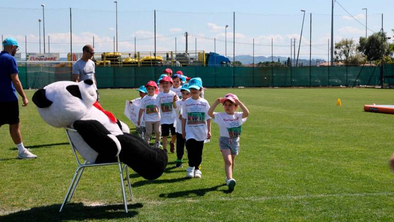 Educazione allo sport, centinaia di bambini a Martorano per il saggio finale di Panathlongiochiamo VIDEO GALLERY Educazione allo sport, centinaia di bambini a Martorano per il saggio finale di Panathlongiochiamo VIDEO GALLERY