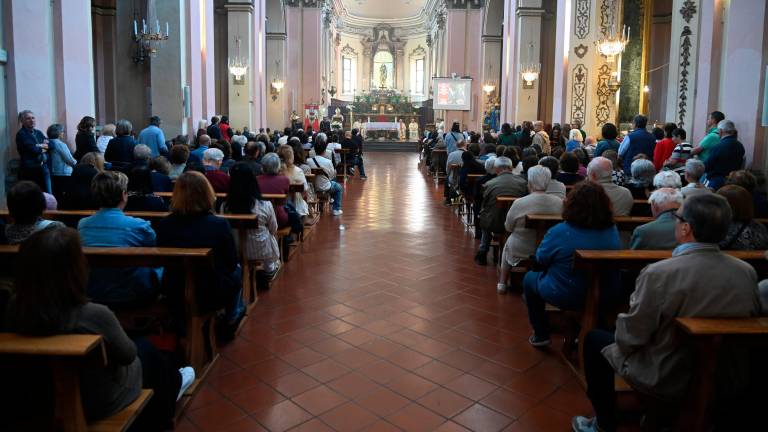 Forlì, grande affluenza per la fiera dei cedri e San Pellegrino FOTOGALLERY Forlì, grande affluenza per la fiera dei cedri e San Pellegrino FOTOGALLERY