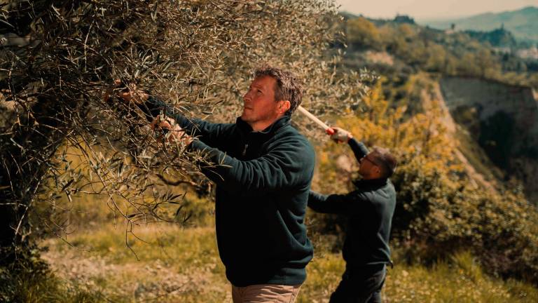 CAB Terra di Brisighella: riconoscimento OP e nuovi progetti CAB Terra di Brisighella: riconoscimento OP e nuovi progetti
