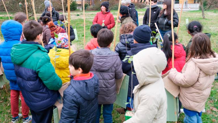 Ci sono 150 nuovi alberelli al parco Cesuola di Cesena piantati dagli alunni Ci sono 150 nuovi alberelli al parco Cesuola di Cesena piantati dagli alunni
