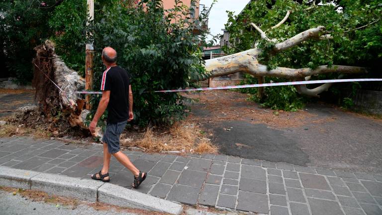 Forlì, contributi per i danni da maltempo del luglio 2023 Forlì, contributi per i danni da maltempo del luglio 2023