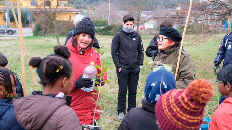 Ci sono 150 nuovi alberelli al parco Cesuola di Cesena piantati dagli alunni Ci sono 150 nuovi alberelli al parco Cesuola di Cesena piantati dagli alunni