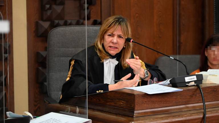Il presidente del Collegio, Monica Galassi Il presidente del Collegio, Monica Galassi