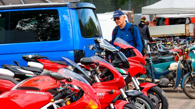 Imola, mostra scambio Crame presa d’assalto da migliaia di collezionisti - Gallery Imola, mostra scambio Crame presa d’assalto da migliaia di collezionisti - Gallery
