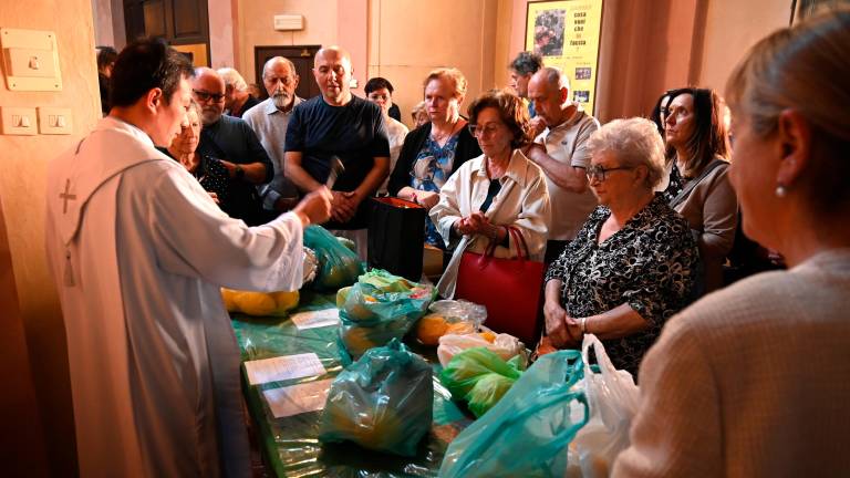 Forlì, grande affluenza per la fiera dei cedri e San Pellegrino FOTOGALLERY Forlì, grande affluenza per la fiera dei cedri e San Pellegrino FOTOGALLERY